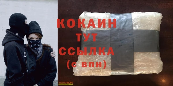 хмурый Бородино