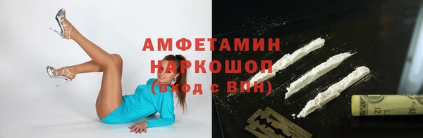 хмурый Бородино